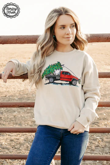 Cake Wagon Christmas Sweatshirt Hoodie with Drawstring Waist Adjustable Fitted